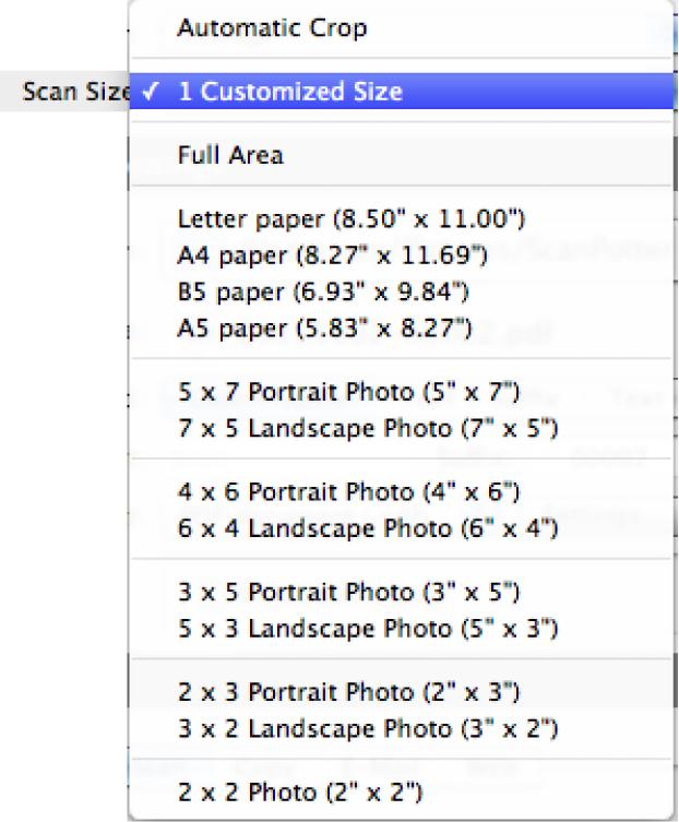 Color Type Color Type shows the image type of the current scan job. Three options are available: Color, grayscale and black-and-white.