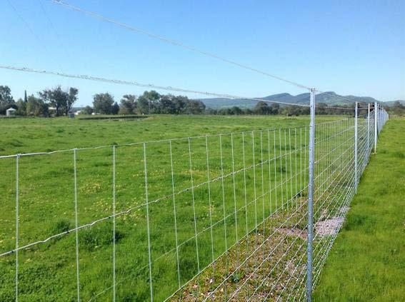 FENCING HINGED JOINT Fabricated Farm Fencing HINGED JOINT Whites Rural Hinged Joint Prefabricated Farm Fencing is made to the highest standards, exclusively from Frauenfelder s Albury plant in