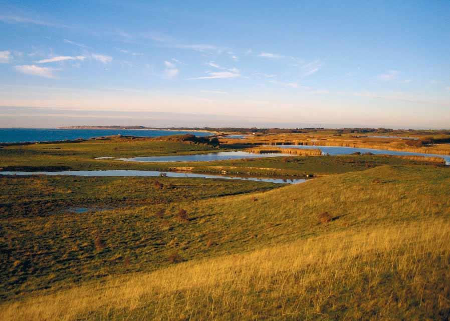 LIFE Nature project Improving the status of the coastal lagoon Tryggelev Nor, Denmark Layman s report Fyn County, Nature Management & Water Environment