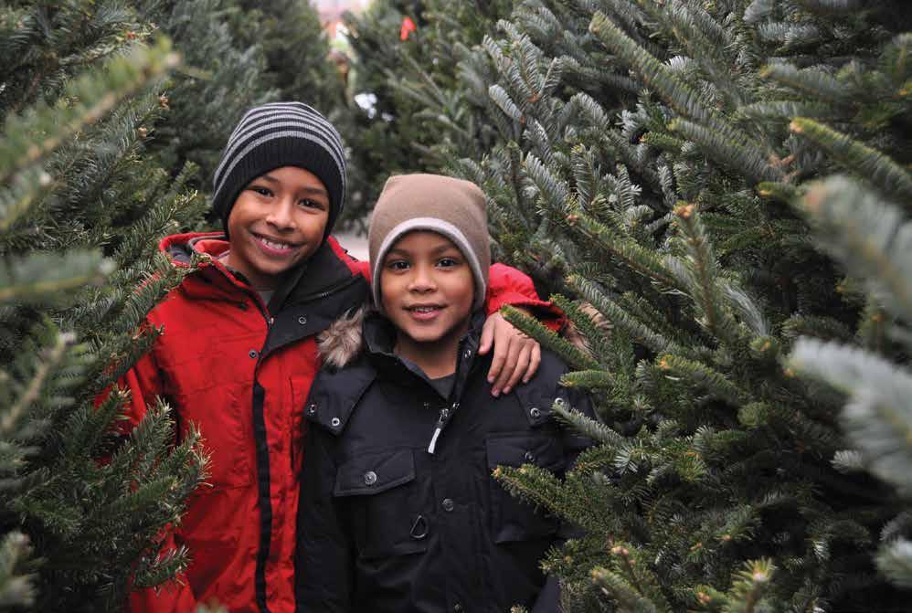 Fresh Cut Christmas Trees Purchase your tree on-line!