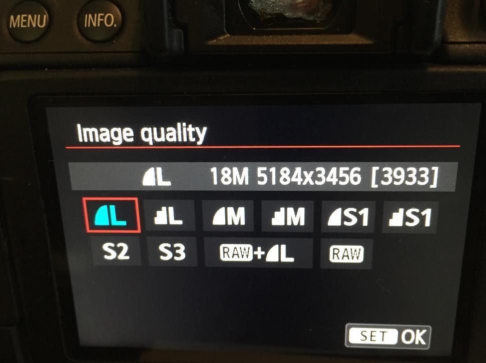Most often it will be the L 18M setting, but you can also shoot in L and Raw at the same time.