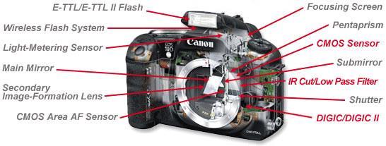 The digital camera
