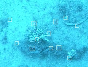 Robotics in marine environment: main issues (3) ground-truthing case 2: natural landmarks in the test site Example: vision-based motion estimation for ROVs Goal: to check the precision of