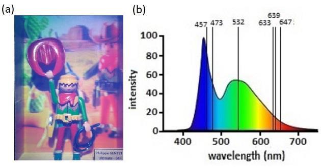 The halogen spectrum shows that the blue wavelengths 473 nm (like the blue 457 nm) has a small intensity compare the red and green wavelengths (Fig. 4.b). Fig. 2.