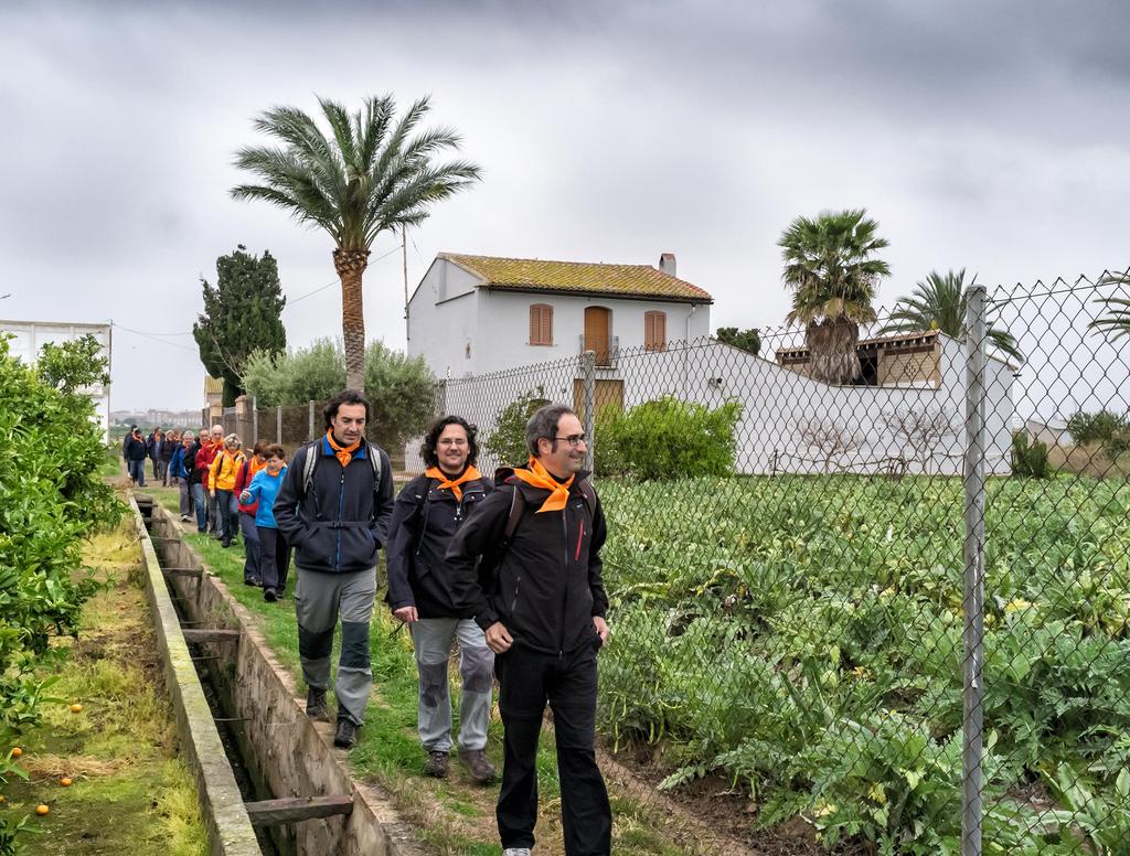Activism and Civic Participation home grown self-sufficient nutrition How the project relates to activism and civic participation: the capacity of