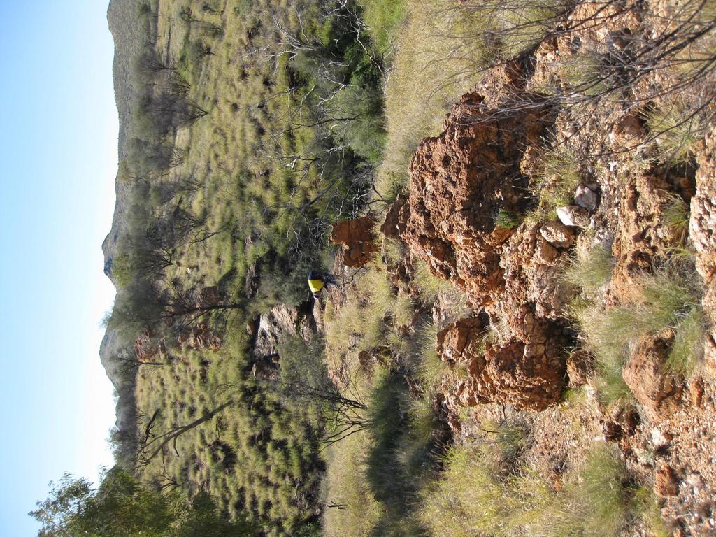 Figure 4: Sampling an outcropping pegmatite on EL31214, Moonlight Project.