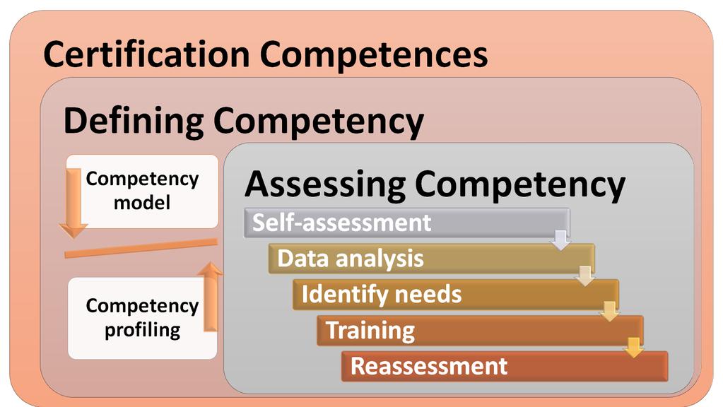 ICARUS OBJECTIVE 8: TRAINING & SUPPORT The competency certification process (approach) Analyze situations and scenarios of training/certification.