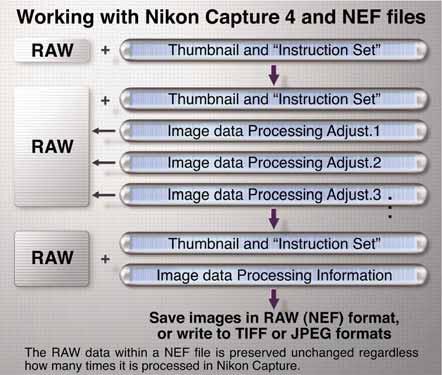 File format versatility NEF (RAW) and JPEG file format versatility Nikon s NEF file format stores the RAW image data captured by the D200 image sensor, a thumbnail and the camera settings.