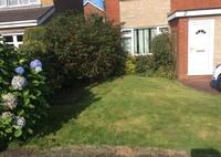 Left hand side lawn with boundary borders which extend across the living room