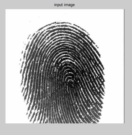 II. PROPOSED METHODOLY The proposed system firstly acquires the fingerprint image. The fingerprint image should be viewed as a flow pattern with definite texture.