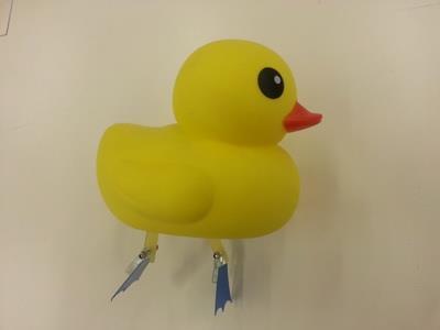 The robot duck must have a yellow plastic case as shown in the diagram and the total dimension of the robot duck cannot exceed 200 mm long, 200 mm wide and 200mm tall.
