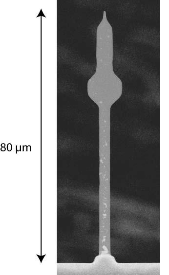 Idea: nanowire cantilevers 3 k R mω Γ= ωq lq Q Potential