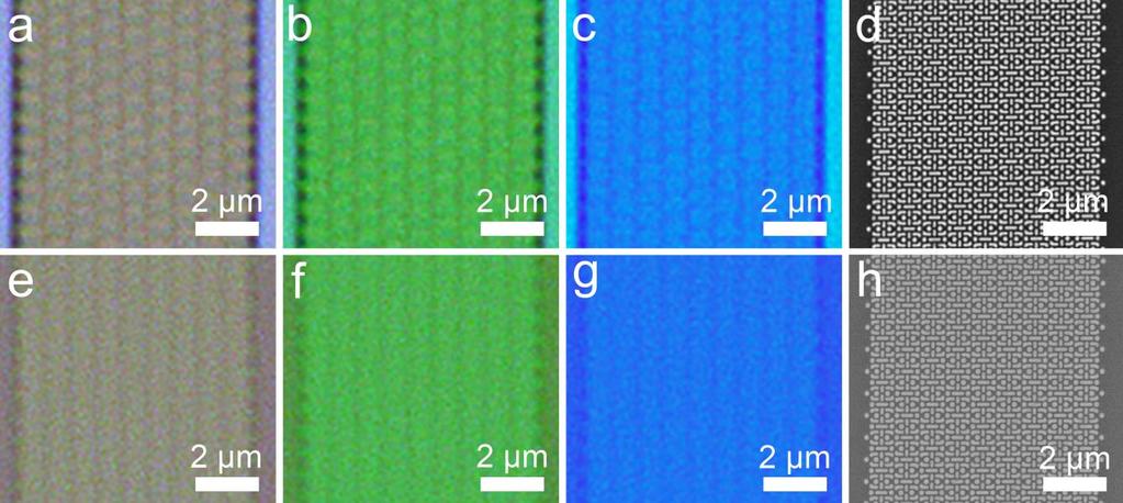 fig. S6. Direct imaging of wafer patterns by an optical microscope.