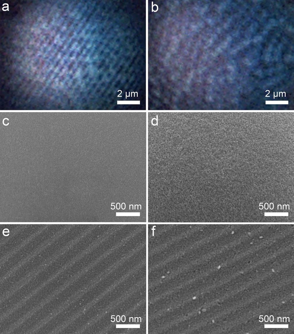 fig. S8. Comparisons of TiO2 hemispherical msil assembled from 15- or 45-nm anatase TiO2 nanoparticles.