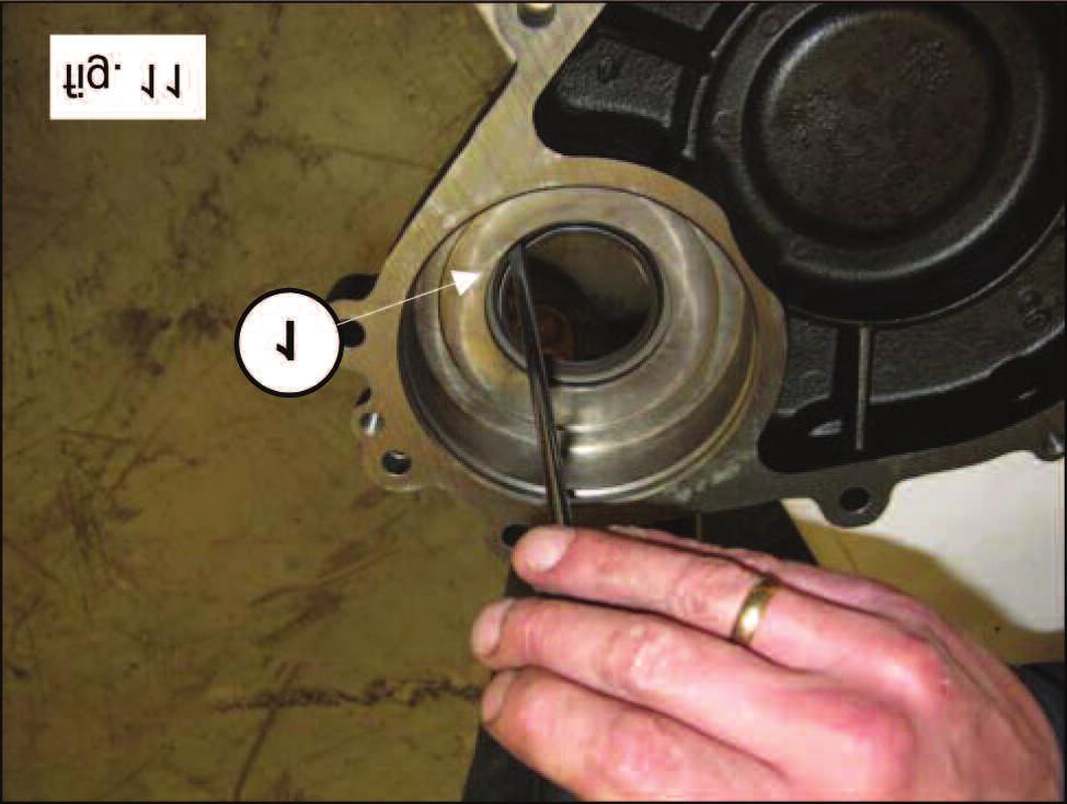 9) and the bearing support ring (1, fig.