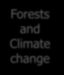Climate change Forests and