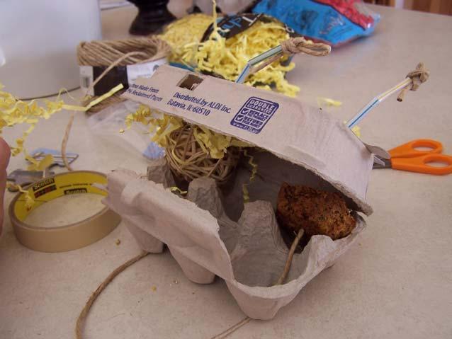 Once you get your egg carton filled as you want it, you can start stuffing paper inside.