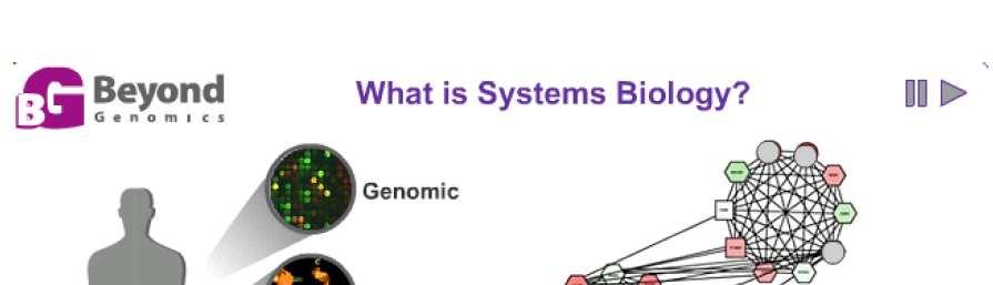 The "Age of "-omics" Studying interrelationships at different level of complexity Genes -
