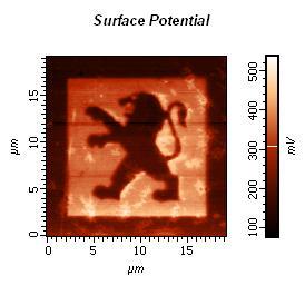 SOLVER NANO SPM Lithography Results Take a scan of the sample by Kelvin Probe Microscopy.