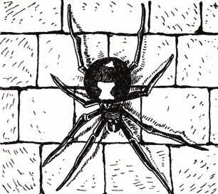 Labyrinth Lord Spider, Giant Black Crab Widow Spider Tarantula No. Enc.