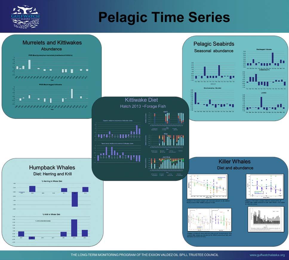 Figure 6. Pelagic component time series trend card presented as a poster at workshop with Gulf of Alaska Integrated Ecological Research Program principal investigators.