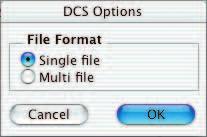 formats like JPEG and DCS Starting the Real Scan Processing A click on the Start button in the JM window will initiate the automatic processing of selected entries This process can