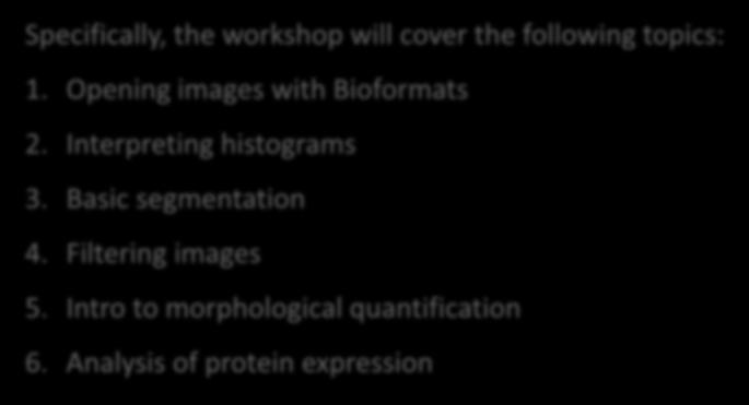 WHAT DO WE HOPE TO ACHIEVE? Specifically, the workshop will cover the following topics: 1. Opening images with Bioformats 2.
