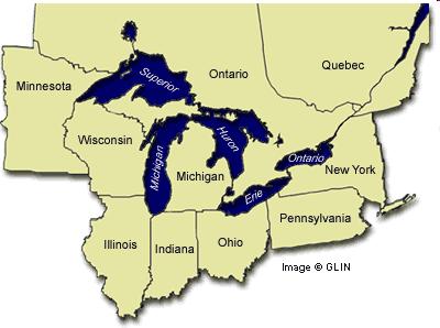 Management/conservation of special status species in the Great Lakes