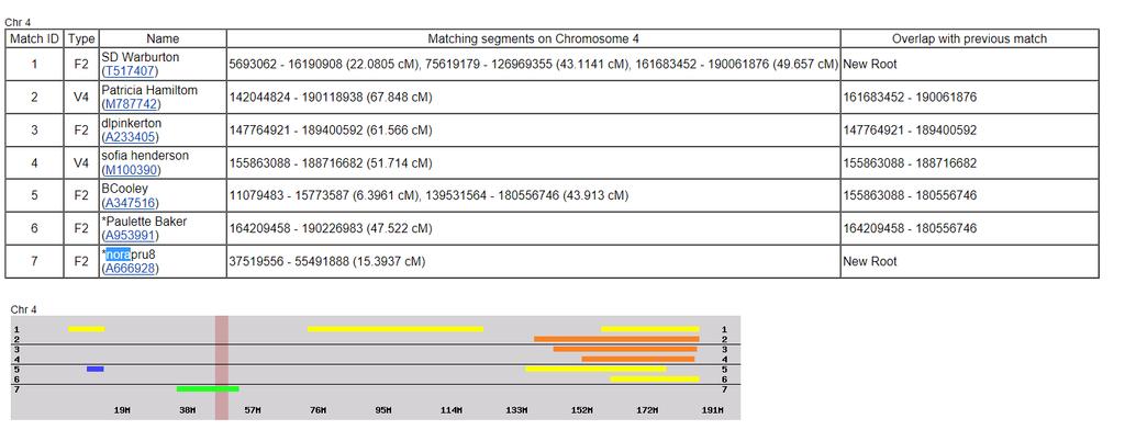 GEDmatch Chromosome Browser These matches share a segment