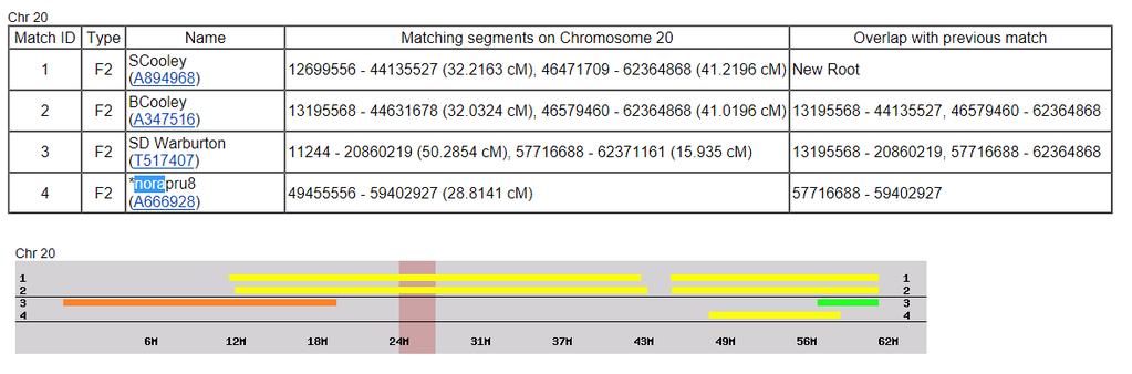 GEDmatch Chromosome Browser Norapru8 shared this segment from a