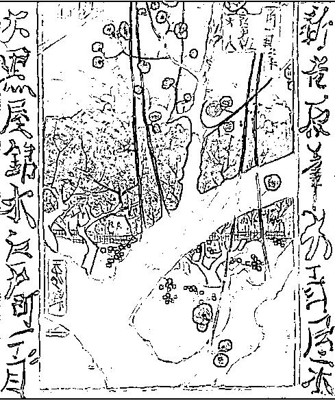 Picture 25 - Van Gogh: Japonaiserie: Flowering Plum Tree