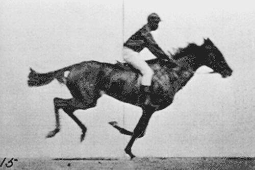 Eadweard Muybridge Horse in Motion, Eadweard Muybridge - 1879 Muybridge spent the rest of his