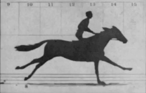 Eadweard Muybridge The zoopraxiscope is an early device for displaying motion pictures.