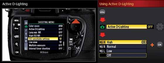 Panel Viewfinder Display Shooting Information Display Photo Gallery DigiTutor for D300 also incorporates easy