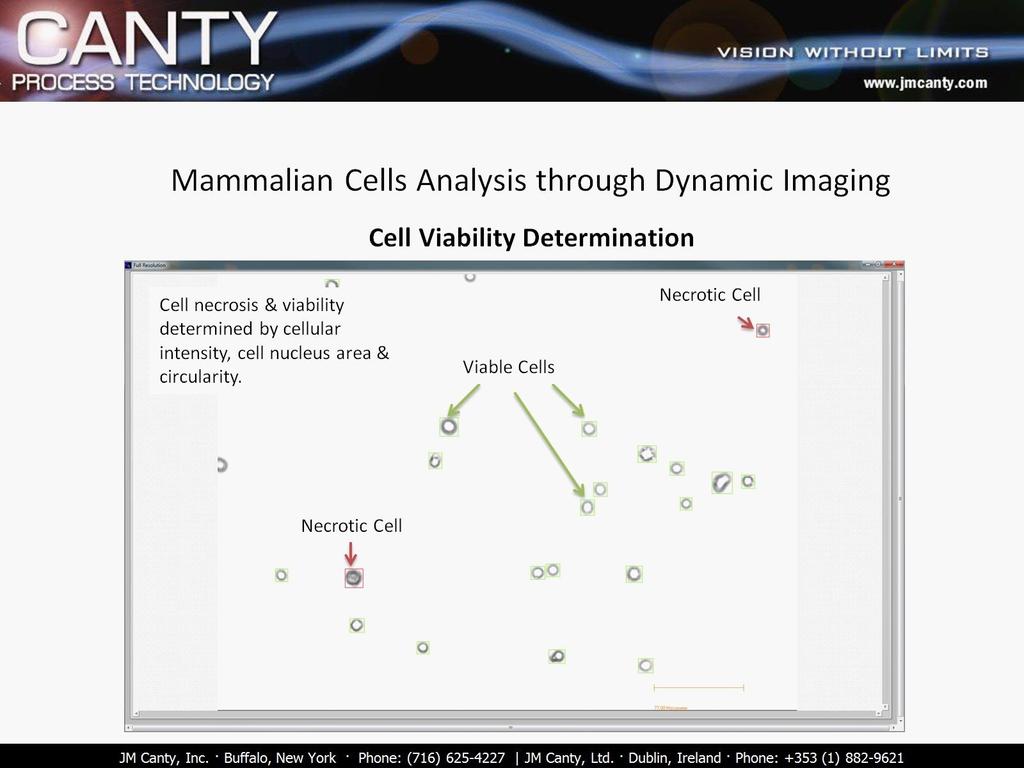 Cell Analysis Cell Count & Viability CANTY s vision based technique works on the basic principle of presenting