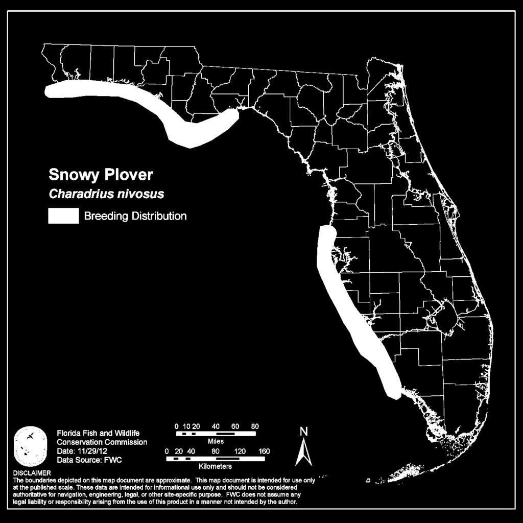 Appendix 1 Snowy plover distribution in Florida Northwest population Plover Charadrius nivosus 1111 Breeding Distribution Sarasota County Southwest population Florida Fish and Wildlife 0 10 20 40 60