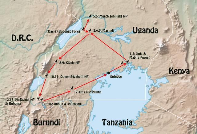 RBT Uganda Birds & Gorillas Itinerary 3 TOUR ROUTE MAP THE TOUR IN DETAIL Day 1: Entebbe to Jinja via Mabamba Swamp.