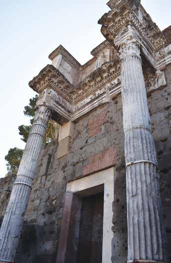 Temple Built on Devotion Domitian built a temple in honor