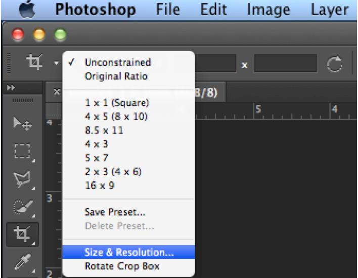 IMAGING BASICS: RESAMPLING WHILE CROPPING You can change the resolution while cropping an image: 1.