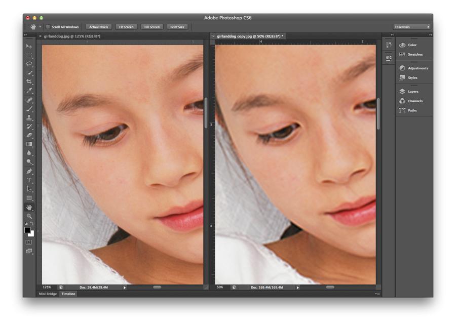 IMAGING BASICS: RESAMPLING Resampling is Photoshop s process of determining which pixels can be deleted, or added, with least effect on the image, in a process called interpolation.