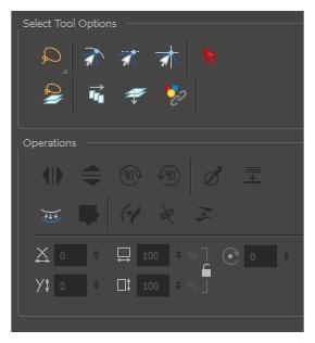 Tool Options Icon Tool Name Description Sets the selection mode to Lasso, which allows you to select multiple items by drawing a