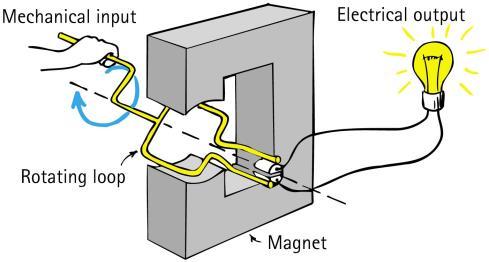 Electrical Generator Opposite of a motor Converts mechanical energy into electrical energy via coil motion Produces alternating voltage and current Electrical Generator The frequency of alternating