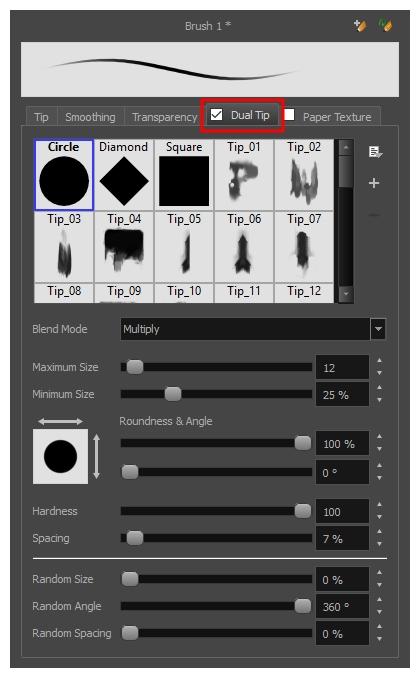 Harmony 16.0 Paint Reference Guide NOTE To use a Dual Tip, you must enable option by checking the checkbox inside the Dual Tip tab.