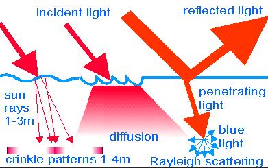 Fig 1: light scattering effect The second cause for underwater image distortion is color change. Color change is due to varying degrees of attenuation for different wavelengths.