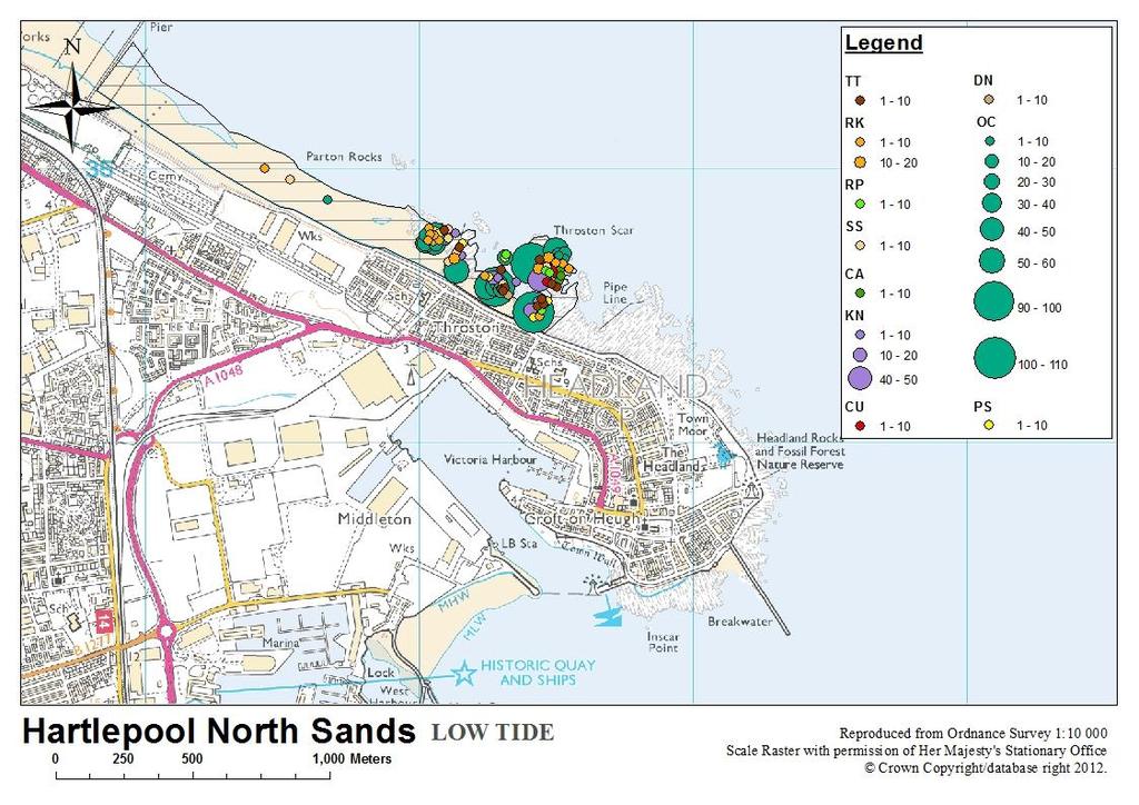 Map 4: Bran Sands (low tide) Map