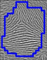 4: Fingerprint patch pairs (128 128 pixels) consisting of high