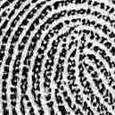 Fig. 4 shows some examples of high quality fingerprint patches