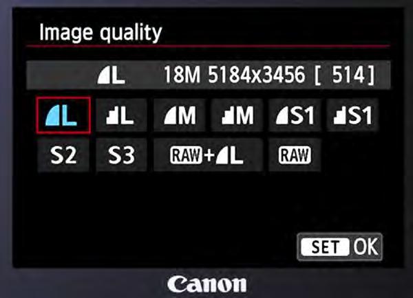 About your camera suggested settings Choose RAW or RAW + L This may be combined with the Image Quality Menu If your camera doesn t have