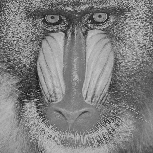 Figure 2: Original Picture of baboon II- Approach Compressing an image is to represent the most important components of that image with more bits while allocating fewer bits to its less important