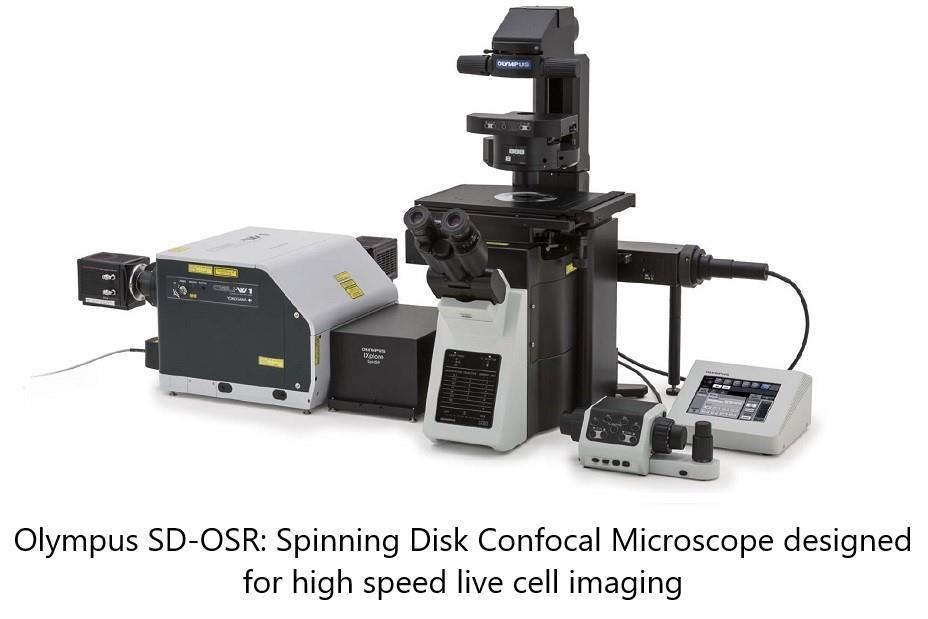 User manual for Olympus SD-OSR spinning disk confocal microscope Ved Prakash, PhD.